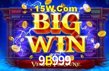 Secure Login 9B999